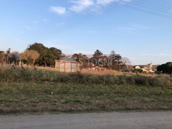 RETASADO VENTA TERRENO 25 X 40 LOS PINOS