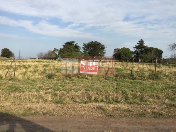 VENTA TERRENOS EN LOS PINOS !!
