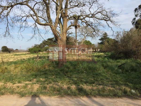 VENTA TERRENOS EN LOS PINOS !!