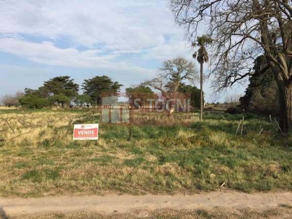 VENTA TERRENOS EN LOS PINOS !!