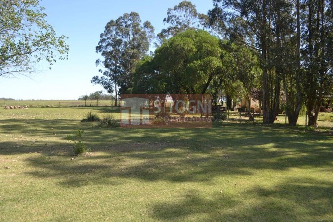 VENTA CASA QUINTA 3,59 has...BALCARCE