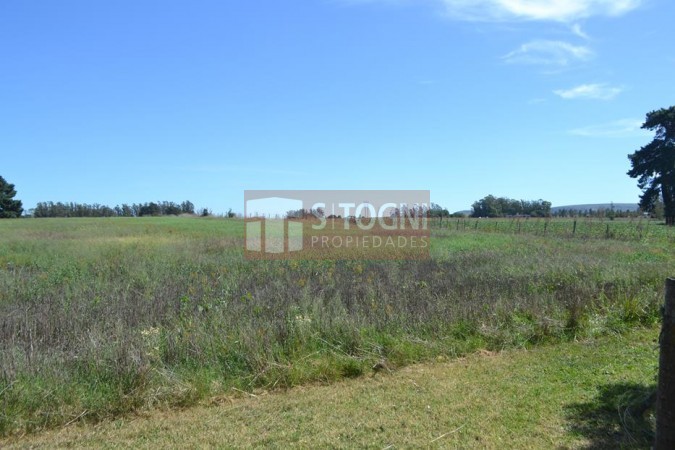 VENTA CASA QUINTA 3,59 has...BALCARCE