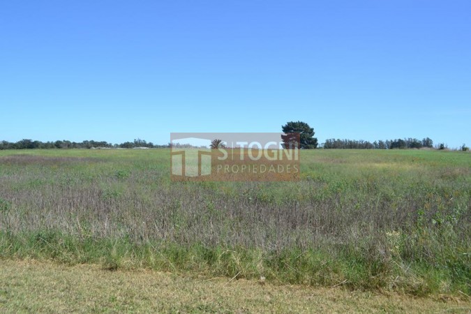VENTA CASA QUINTA 3,59 has...BALCARCE