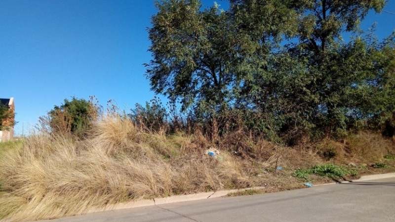TERRENO 10 X 45