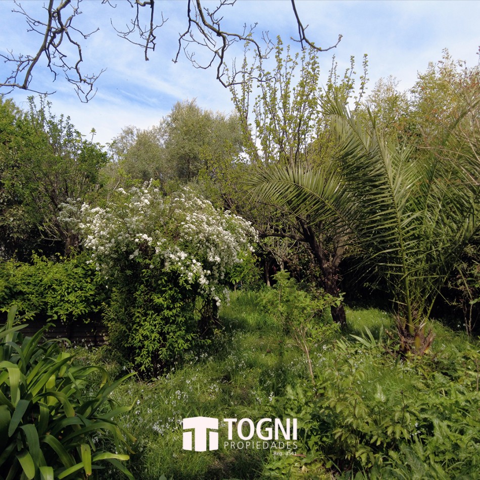 OPORTUNIDAD CASA EM VENTA. 10 X 50 !!