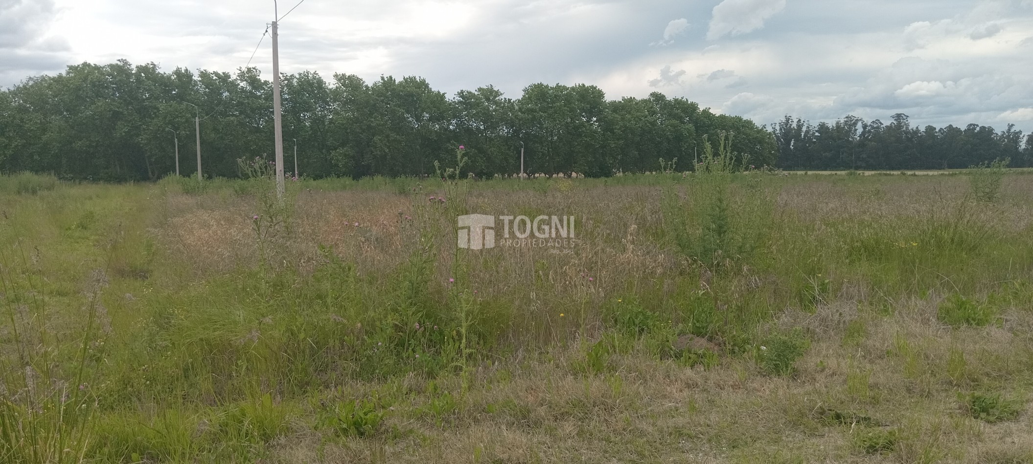 VENTA AMPLIO TERRENO DE 50 mts. x 50 mts.. BALCARCE !