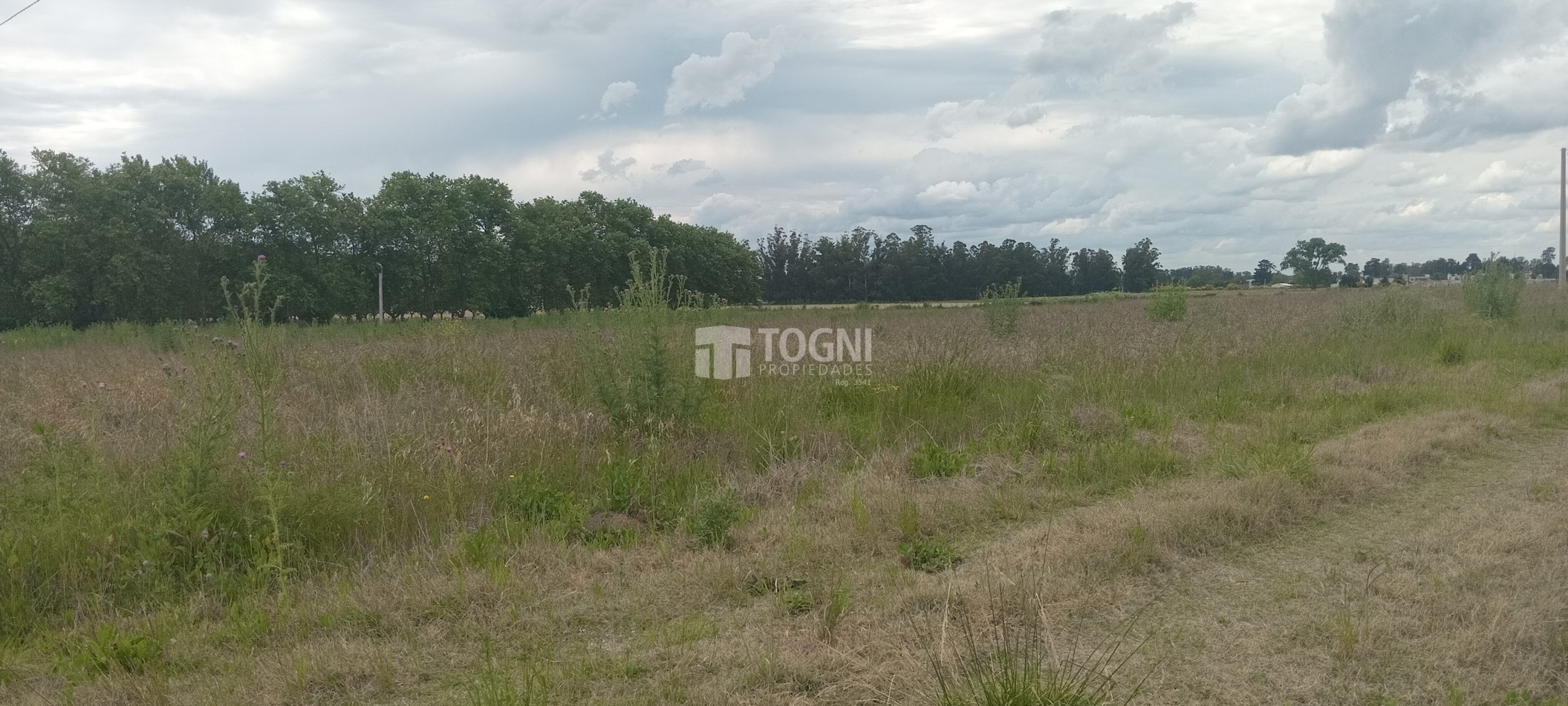 VENTA AMPLIO TERRENO DE 50 mts. x 50 mts.. BALCARCE !