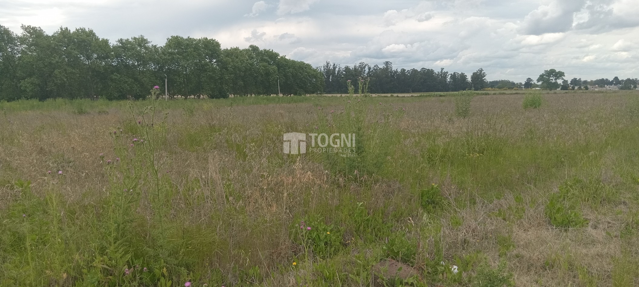 VENTA AMPLIO TERRENO DE 50 mts. x 50 mts.. BALCARCE !