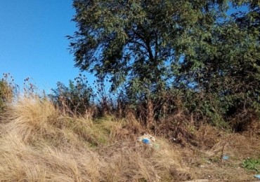 TERRENO 10 X 45